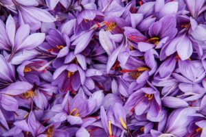 Zafferano – Za’faran