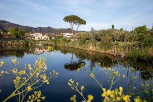 Il Giardino di Manipura: fiori, sapori locali e benessere naturale