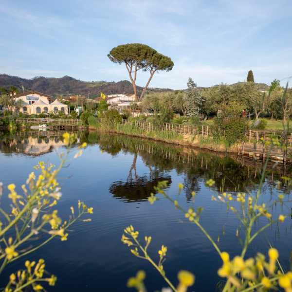 il giardino di manipura massarosa la via delle erbe e dei fiori