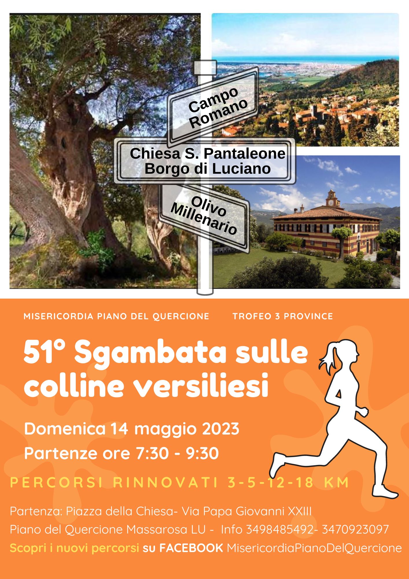 51esima Sgambata sulle Colline Versiliesi: Camminata sulle colline tra ulivi millenari, paesaggi e sapori di Massarosa