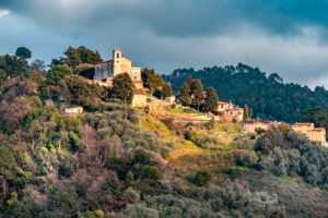 51esima Sgambata sulle Colline Versiliesi: Camminata sulle colline tra ulivi millenari, paesaggi e sapori di Massarosa