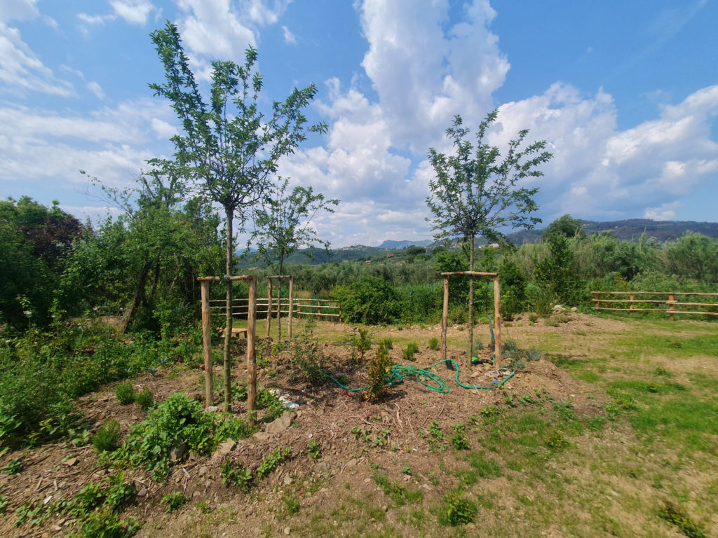 IL GIARDINO DELLE FARFALLE LA VIA DELLE ERBE E DEI FIORI MASSAROSA (2)