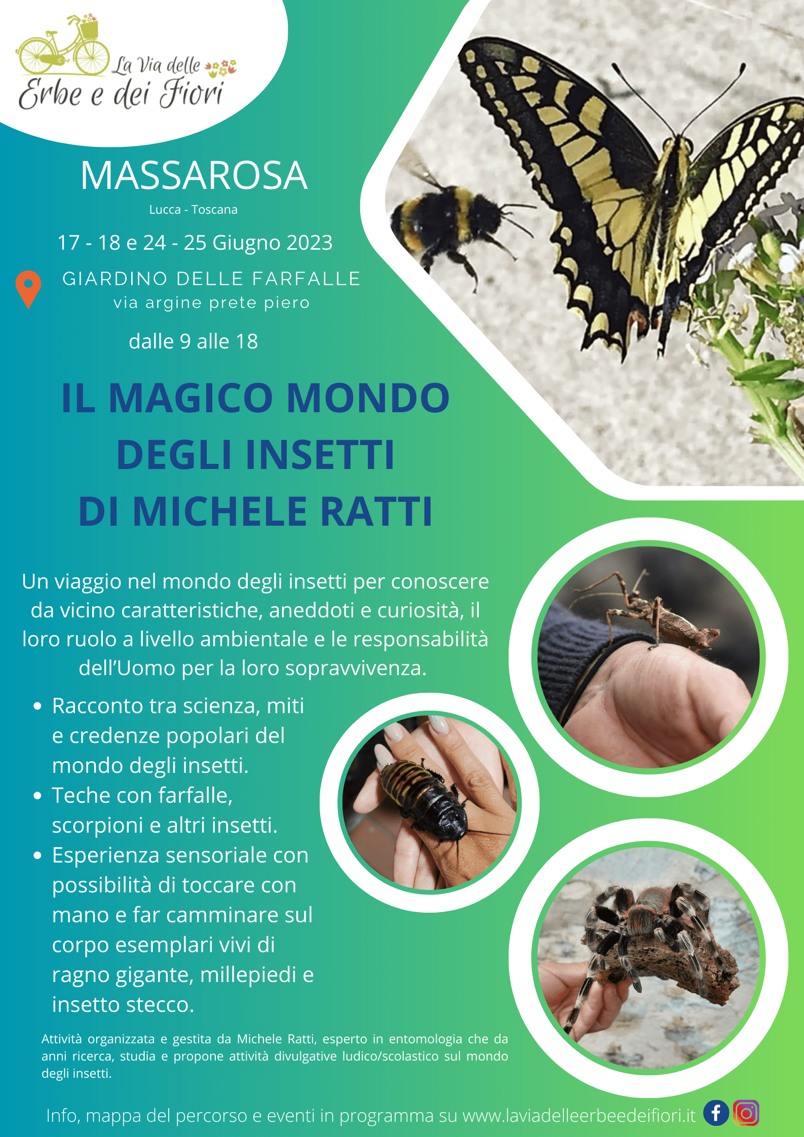 Il magico mondo degli insetti di Michele Ratti esposizione di teche e esperienze sensoriali con insetti vivi(1)