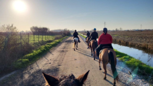 Tra i cavalli e gli animali della Fattoria Il Paese delle Meraviglie