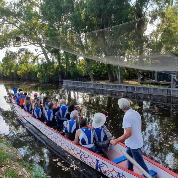 Escursioni In Dragon Boat sul Lago di Massaciuccoli