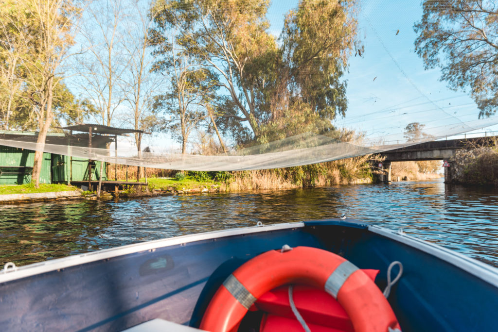 Tour sul lago di Massaciuccoli con barchino elettrico (3)