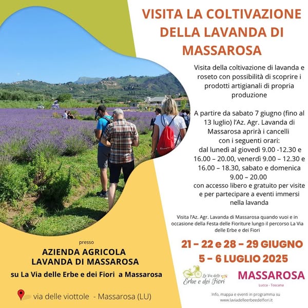 Apertura Az. Agr. lavanda di Massarosa