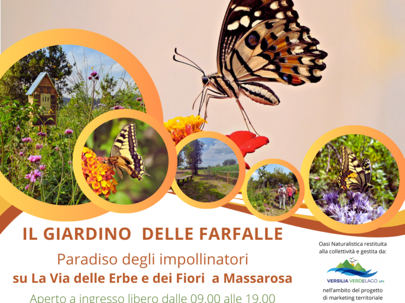 Apertura IL GIARDINO DELLE FARFALLE la via delle erbe e dei fiori massarosa mese di maggio