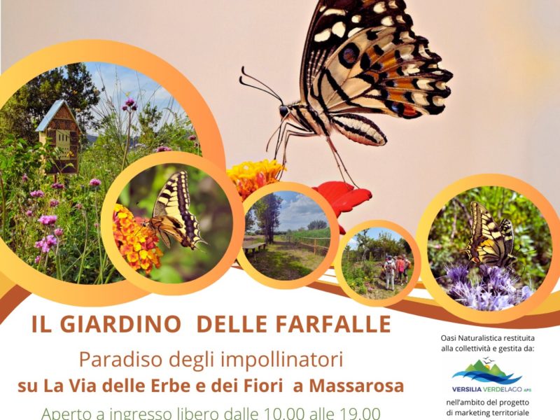 Lunedì di Pasquetta (21 aprile 2025): lasciati incantare dalla riapertura del 🦋 GIARDINO DELLE FARFALLE! 🦋