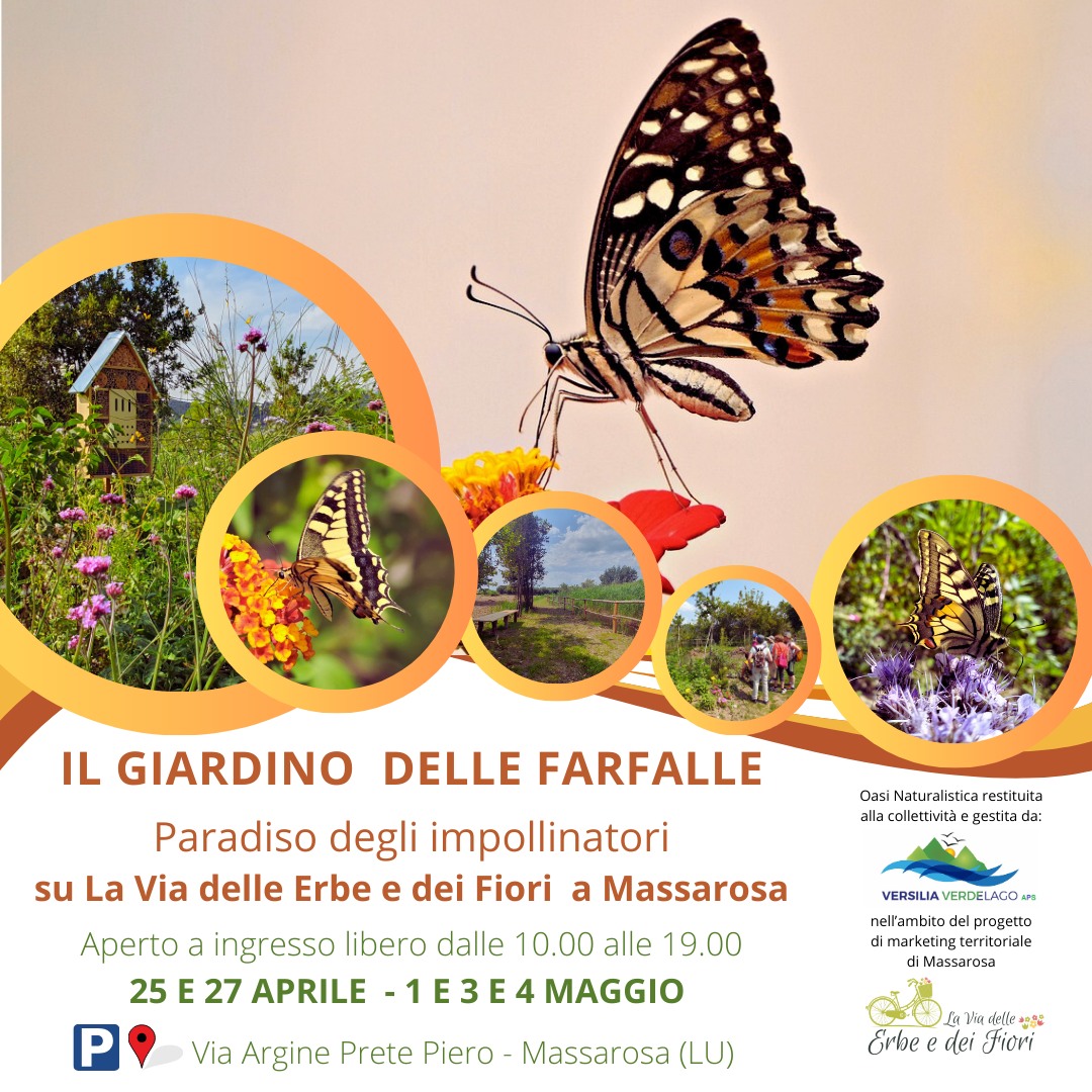 Lunedì di Pasquetta (21 aprile 2025): lasciati incantare dalla riapertura del 🦋 GIARDINO DELLE FARFALLE! 🦋