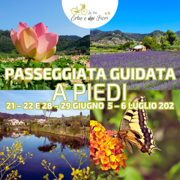 Passeggiate Guidate A PIEDI su La Via delle Erbe e dei Fiori 21 – 22 e 28 – 29 Giugno e 5 – 6 Luglio 2025