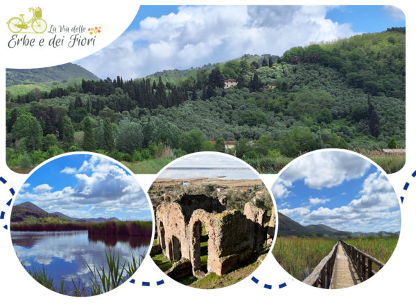 Domenica 14 settembre – Trekking dalle Terme Romane al Giardino all’italiana, da Massaciuccoli a Compignano tra storia e oasi naturalistiche