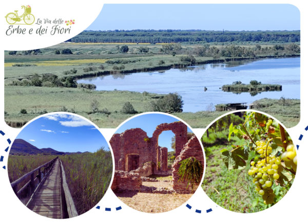 Domenica 24 Agosto - Percorso Trekking sul Lago di Massaciuccoli e Degustazione alle Cantine Tenuta Mariani
