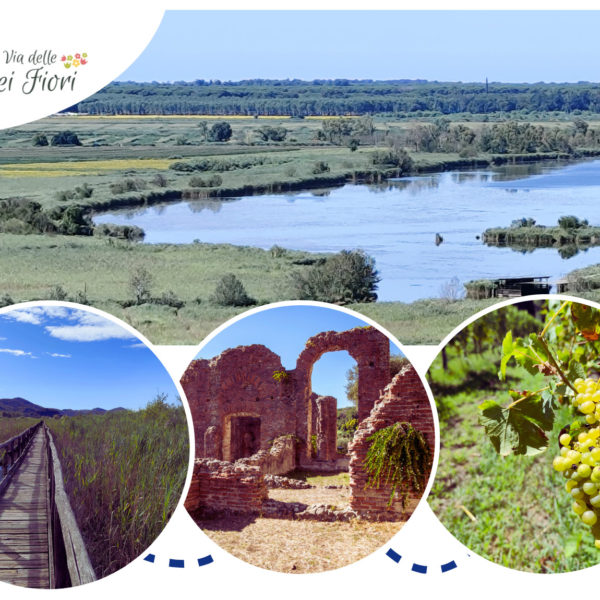 Domenica 24 Agosto - Percorso Trekking sul Lago di Massaciuccoli e Degustazione alle Cantine Tenuta Mariani