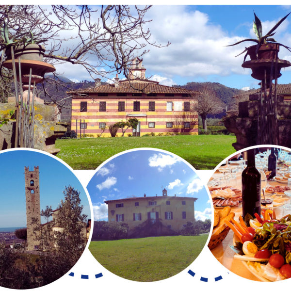 Domenica 23 Novembre - Escursione dell'olio nuovo dalla Fattoria di Camporomano a Pieve a Elici con pranzo di prodotti locali