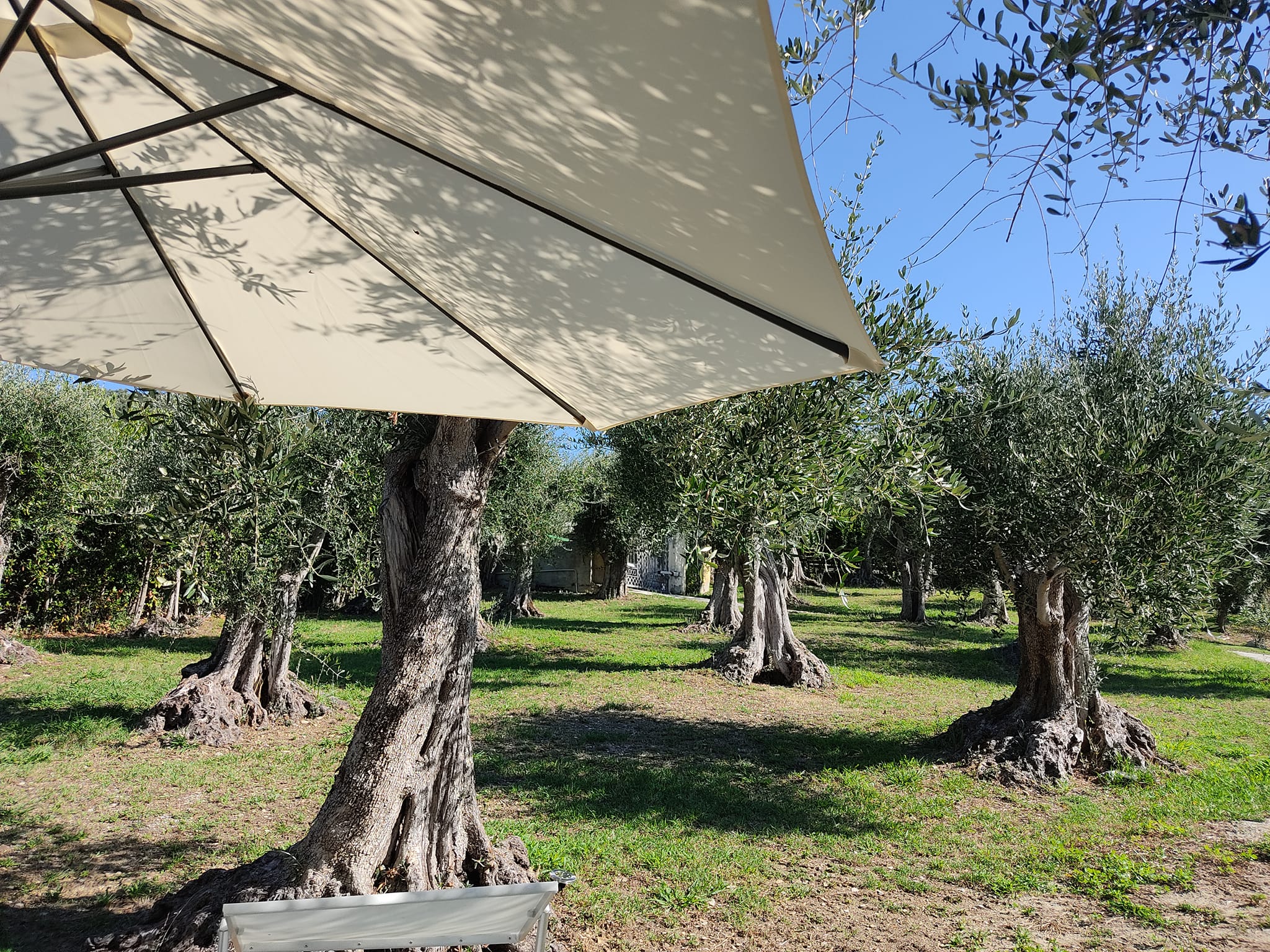 Casa Vacenze La Tana de Geco  (3)