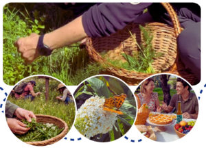 Domenica 26 aprile – Alla scoperta e raccolta degli Erbi Selvatici lungo La Via delle Erbe e dei Fiori con Picnic nella Natura