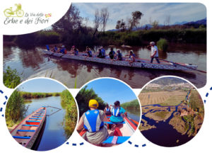 Sabato 2 Maggio – Avventura con il Dragon Boat sul Lago di Massaciuccoli