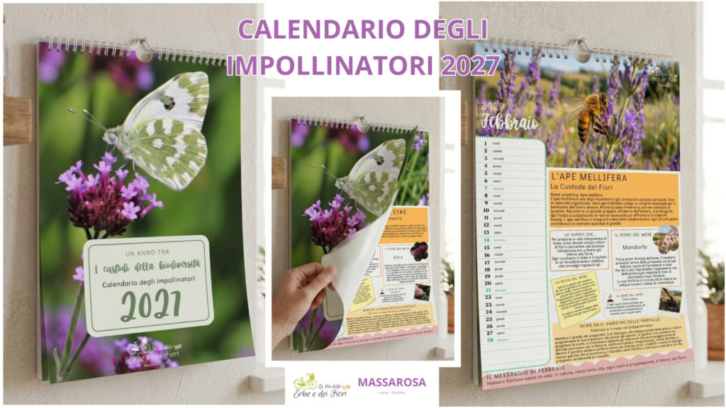 Calendario degli Impollinatori 2027 la via delle erbe e dei fiori massarosa