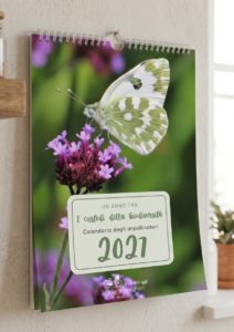 Calendario degli Impollinatori 2027 la via delle erbe e dei fiori massarosa