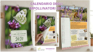 Calendario degli Impollinatori 2027 – Edizione Limitata