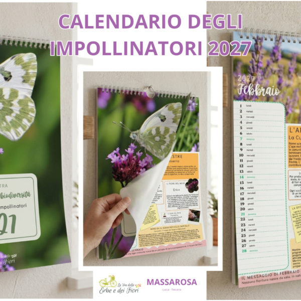 Calendario degli Impollinatori 2027 la via delle erbe e dei fiori massarosa